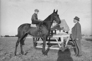Randwick Trainers and Horses 1940's 6"x4" Photo Print
