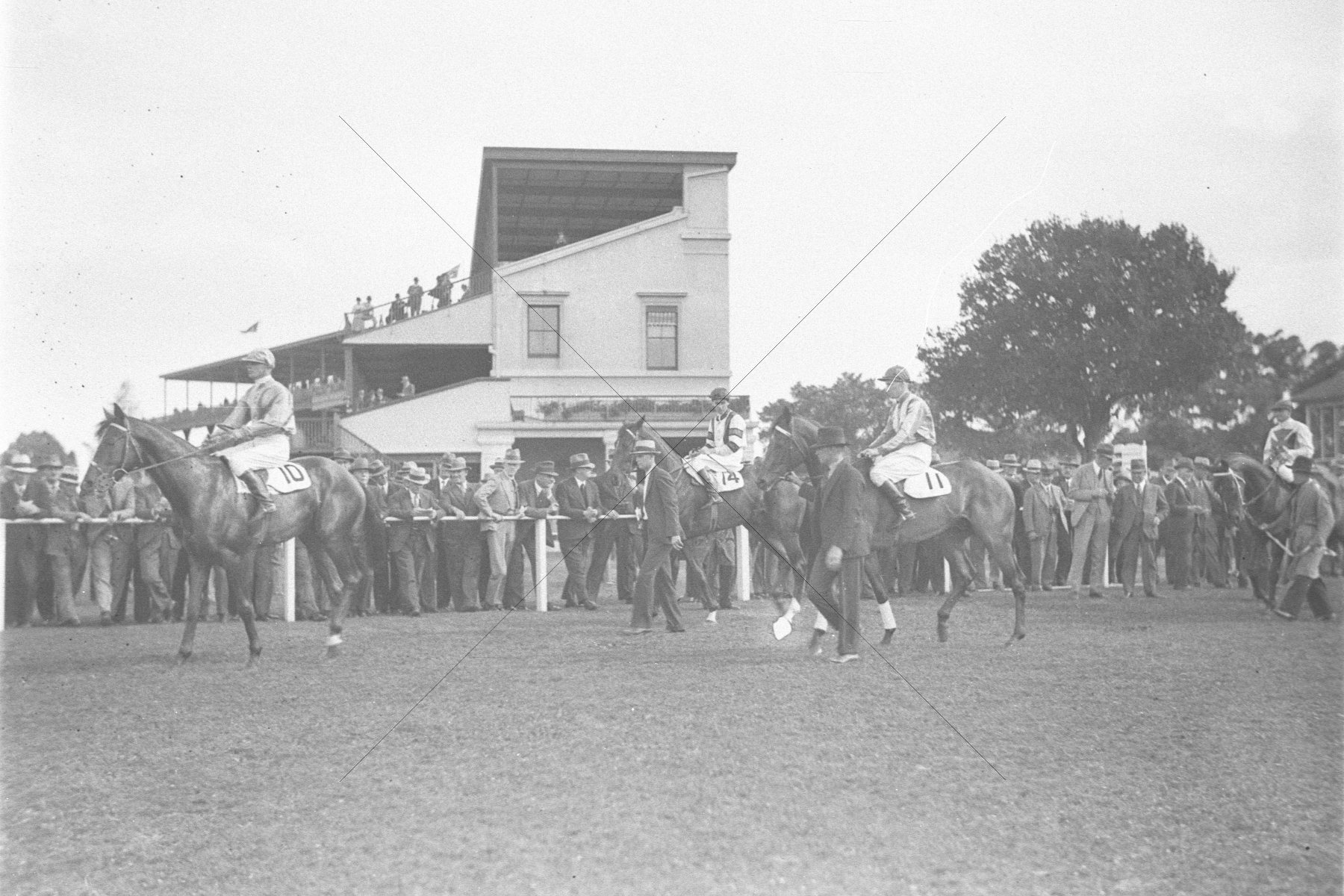 Saddled Horses Parading Ring Start 1934 6"x4" Photo Print