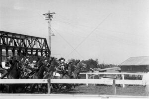 Two Year Old Horse Trials Randwick 1955 6"x4" Photo Print
