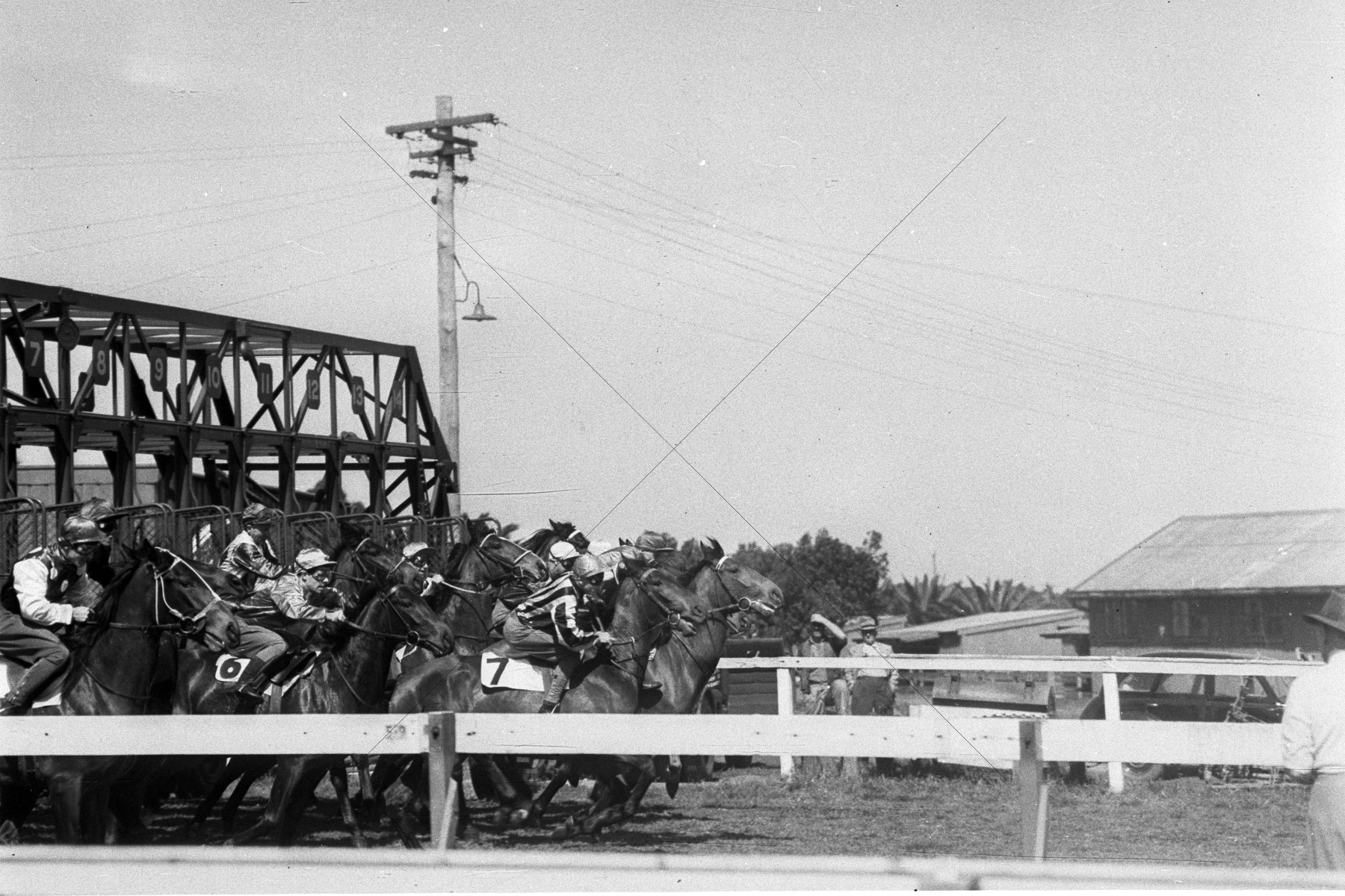 Two Year Old Horse Trials Randwick 1955 6"x4" Photo Print