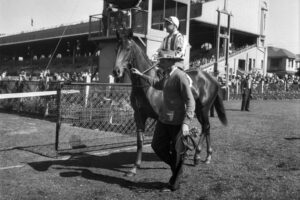 Two Year Old Horse Trials Randwick 1955 6"x4" Photo Print