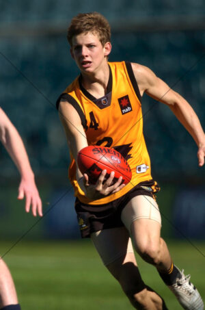 Nat Fyfe in Claremont Colours (WAFL) 6" x 4" Photo Print