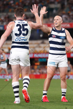 Geelong Champions Gary Ablett & Patrick Dangerfield 6" x 4"