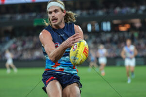 Geelong Gun Bailey Smith 6" x 4" Photo Print