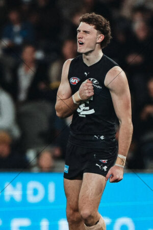 Hudson O’Keeffe Carlton Young Gun AFL 6" x 4" Photo Print