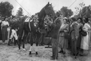 Balranald horse Paphos Mildura Cup win Sandalong Park 1952 6" x 4" Photo Print