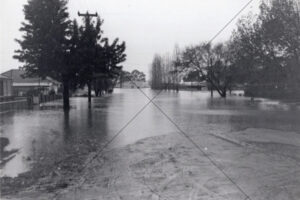 Camden NSW Flood Suburban Street 1964 6" x 4" Photo Print