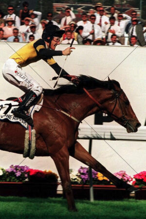 Dane Ripper Cox Plate Victory Racing Photo 6"x4" Photo Print