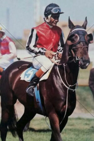 Darby McCarthy On Hyperno 6" x 4" Photo Print