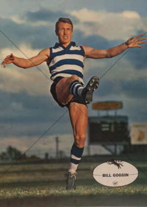 Bill Goggin - Geelong 1960s Heinz 57 VFL Player Poster - A4 Photo Print