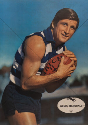 Denis Marshall - Geelong 1960s Heinz 57 VFL Player Poster - A4 Photo Print