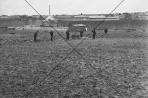 Parramatta Gaol Market Gardens 6" x 4" Photo Print