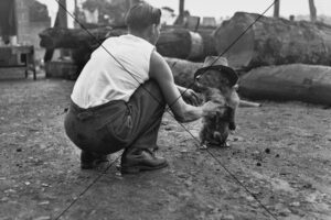 Parramatta Gaol Inmate With Dog 6" x 4" Photo Print
