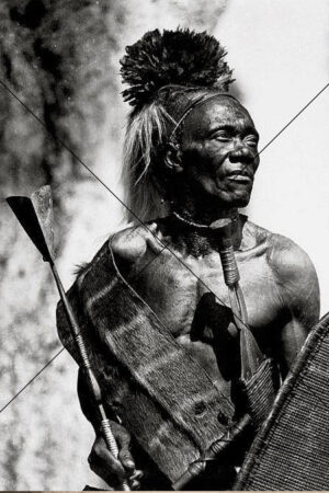 Belgian Congo Warrior With Spear And Shield 6" x 4" Photo Print
