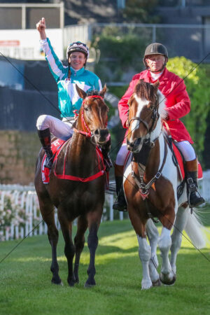 Romantic Warrior Victory Finish Cox Plate 6" x 4" Photo Print