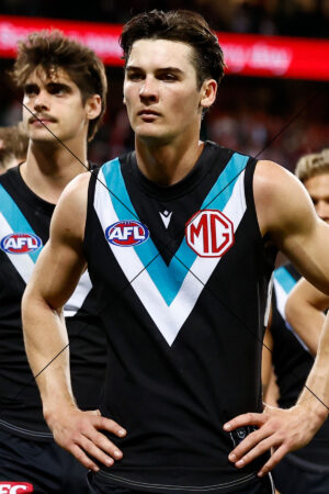 Connor Rozee Port Adelaide AFL Portrait 6" x 4" Photo Print