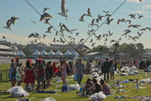 Seagulls Over Flemington After Melbourne Cup Day 6" x 4" Photo Print