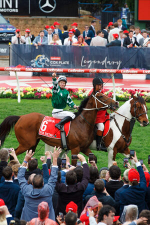 Via Sistina Cox Plate Victory Parade 6" x 4" Photo Print