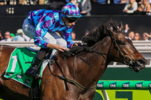 Pride Of Jenny Flemington Close-Up 6" x 4" Photo Print