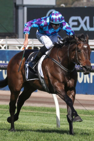 Pride Of Jenny Strong Finish Portrait 6" x 4" Photo Print