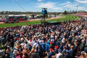 Moonee Valley Cox Plate Day Grandstand Crowd 6" x 4" Photo Print
