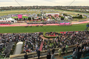 Moonee Valley Home Straight Panorama 6" x 4" Photo Print