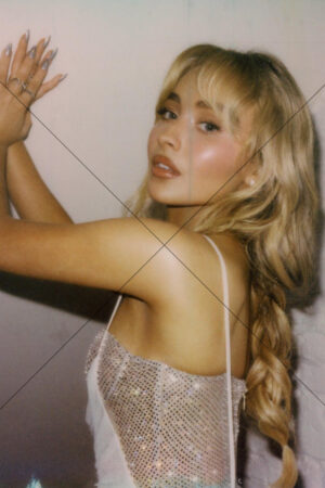 Sabrina Carpenter Braided Hair Polaroid Closeup 6" x 4" Photo Print