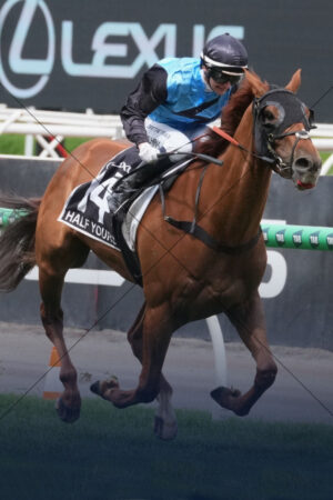 Half Yours Melbourne Cup Winning Ride 6" x 4" Photo Print