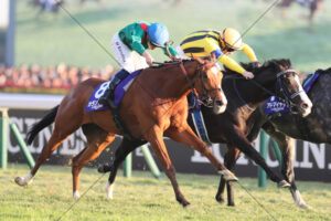 Calandagan Japan Cup Finish Action Shot 6" x 4" Photo Print