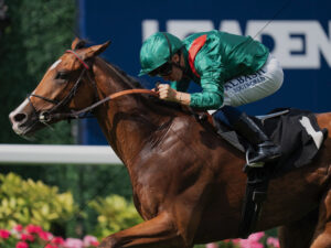 Calandagan Racehorse Power Surge 6" x 8" Photo Print