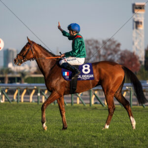 CALANDAGAN And Mickael Barzalona Victory Salute 6" x 6" Photo Print