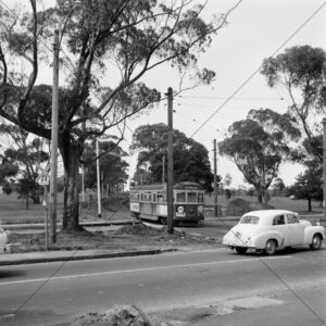 Route 55 Tram Approaching Flemington Fields 6" x 6" Photo Print
