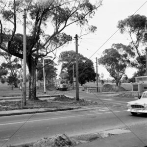 Route 56 Tram Beside Palm Trees At Royal Park 6" x 6" Photo Print