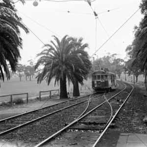 Route 55 Tram Beside Parkland Platform 6" x 6" Photo Print
