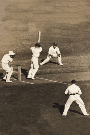 Don Bradman Drives In Ashes Test 6" x 4" Photo Print