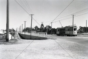 Belmont Tram Old Cleveland Road 1949 6" x 4" Photo Print