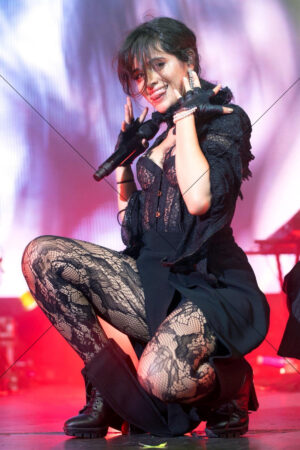 Camila Cabello In Black Lace Stage Outfit 6" x 4" Photo Print