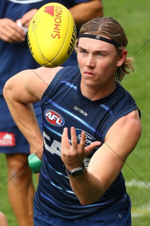 Tanner Bruhn Geelong Young Midfielder Training 6" x 4" Photo Print