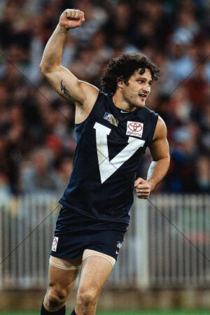 Brendan Fevola celebrating in Carlton state jumper 6" x 4" Photo Print