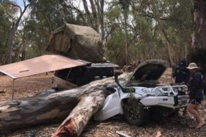 Flashback Lucky Campers Fallen Tree Crash 6" x 4" Photo Print