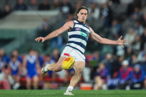 Gryan Miers Geelong Kicking Action Under Lights 6" x 4" Photo Print