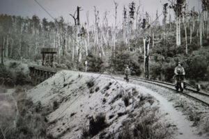Cockatoo Creek Railway Trestle Bridge 1909 6"x 4" Photo Print