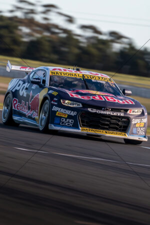 Will Brown Red Bull Supercars Camaro In Motion 6"x 4" Photo Print