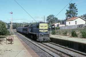 V-Line X41 Diesel passenger train at Kilmore East 1982 6"x 4" Photo Print