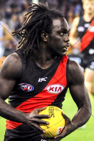 Anthony McDonald-Tipungwuti Match Snapshot Holding Yellow Sherrin 6x4 Photo Print