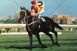 Kingston Town In-Run Stride At Speed 6x4 Photo Print