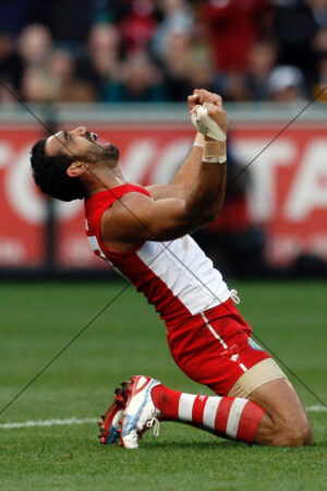 Adam Goodes Sydney Swans Champion Artwork In Stadium 6x4 Photo Print