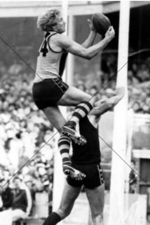 Peter Knights Hawthorn Star High Flying Mark 6x4 Photo Print