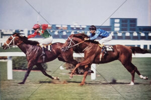 Balmerino Beats Lord Dudley - Tulloch Stakes 1976 6" x 4" Photo Print