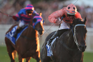 Black Caviar Charging to the Line 6" x 4" Photo Print